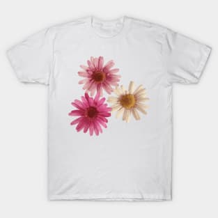 Triple Daisy for Good Luck T-Shirt